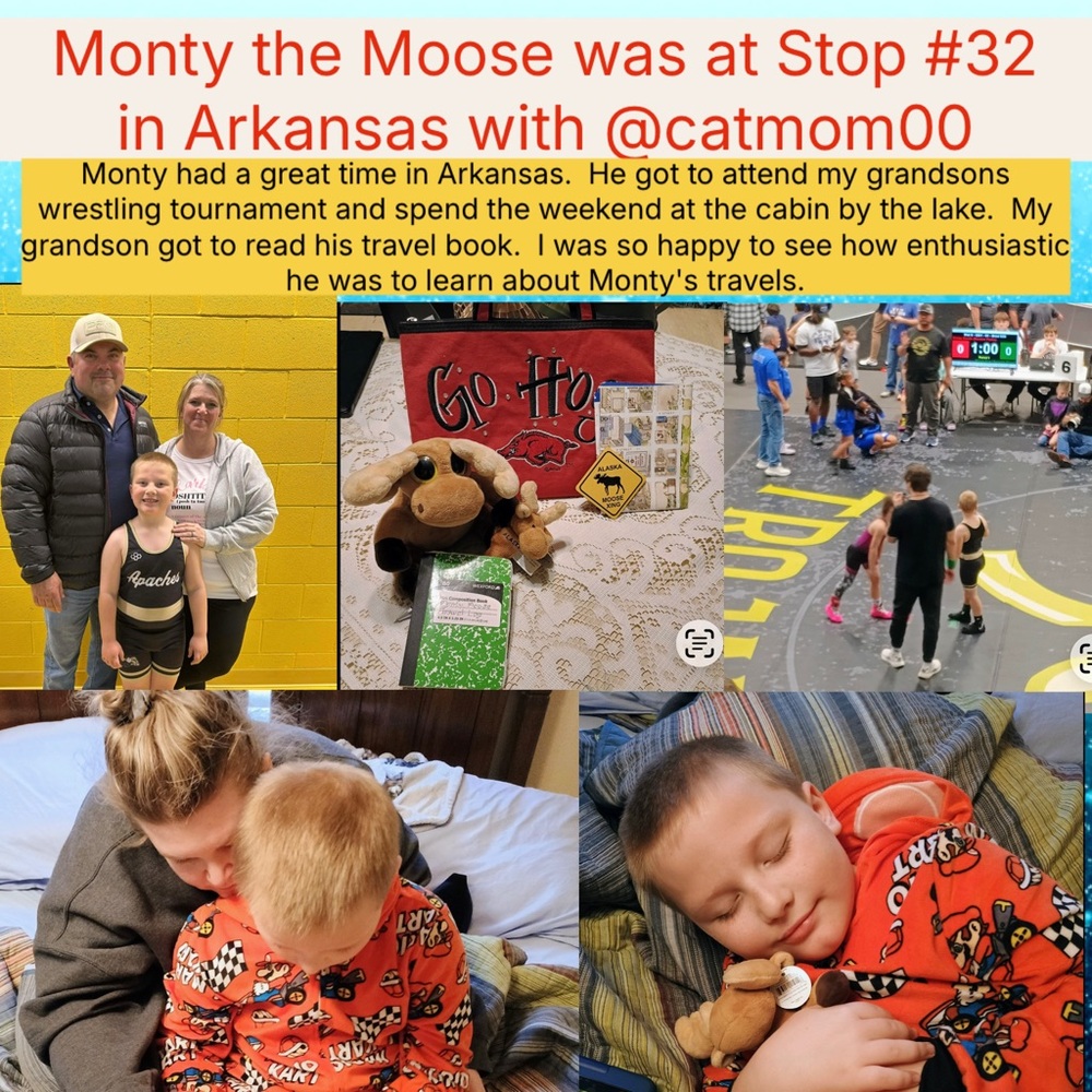 MONTY MOOSE TRACKING!     Where in the Posh Universe is Monty Moose? - Picture 4 of 16